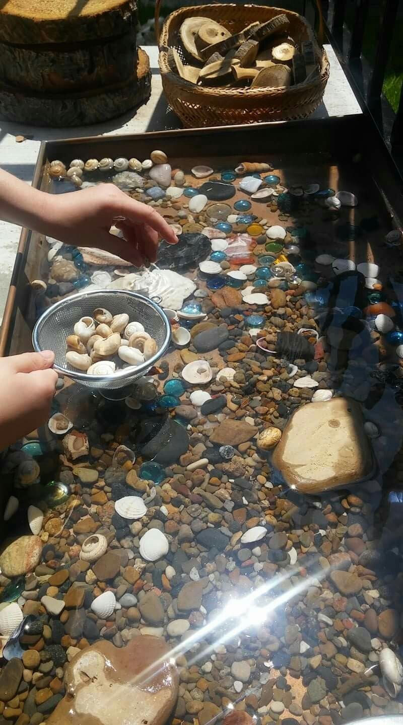 Nature sensory table with shells and stones